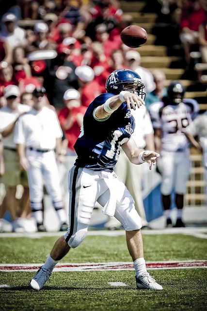 域的专业技 域的专业技